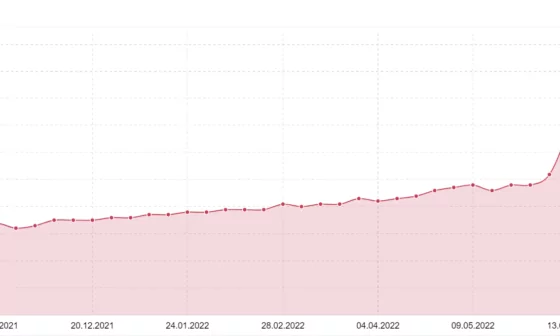 SEO mit WordPress – schon kleinste Verbesserungen können helfen