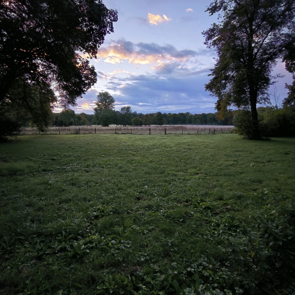 Blick über die Wiesen im Englischen Garten in München