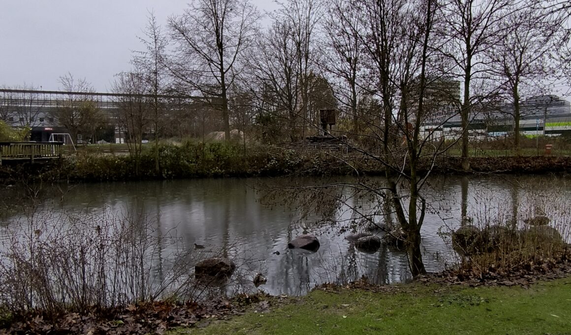 Huzur - Ententeich in Wilhelmsburg