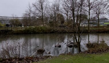 Huzur - Ententeich in Wilhelmsburg
