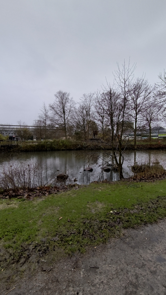 Huzur - Ententeich in Wilhelmsburg