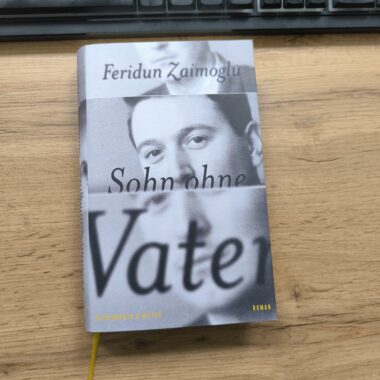 Sohne ohne Vater - Feridun Zaimoğlu
