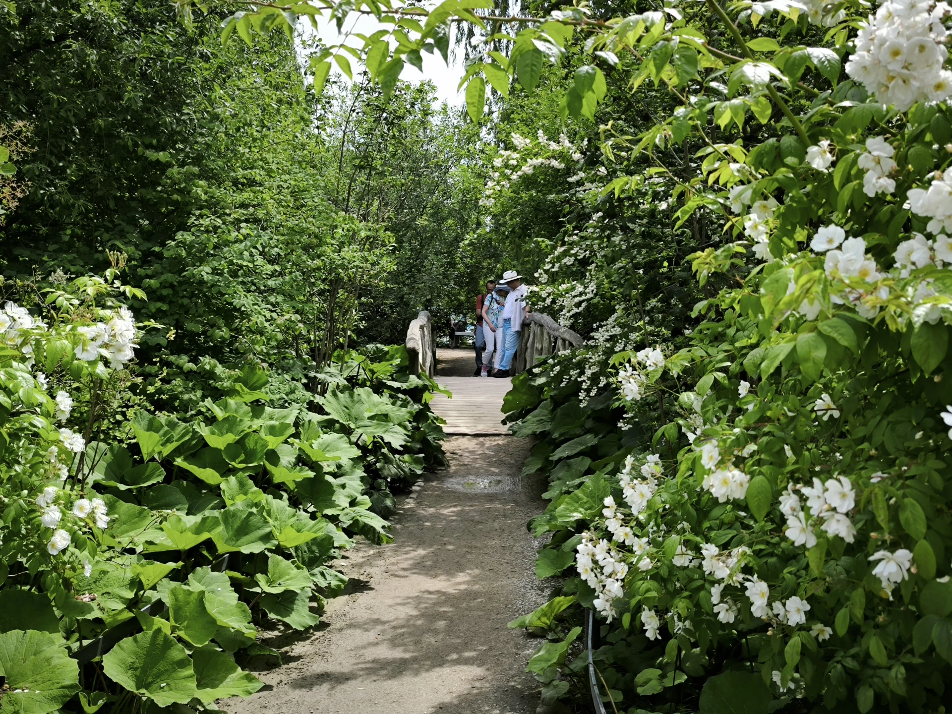 Schlossgarten Schwerin